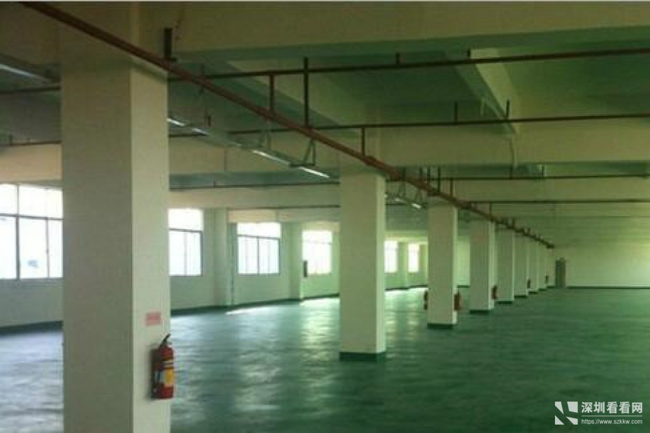 东方天虹附近独院7500平米出租