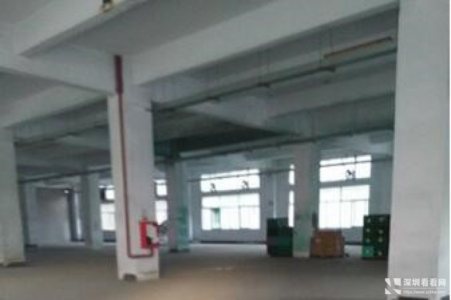 潭头原房东独院7000平米出租