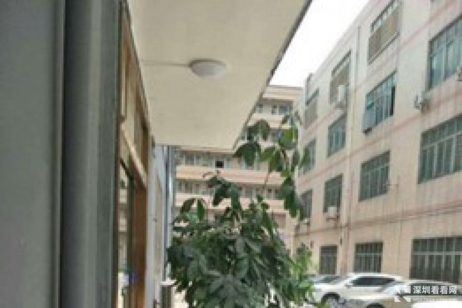 龙华汽车站附近精装写字楼出租