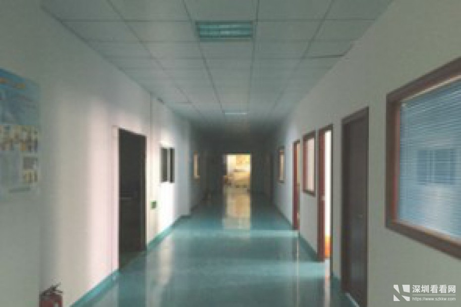 新百丽工业园500/800/2800平米出租