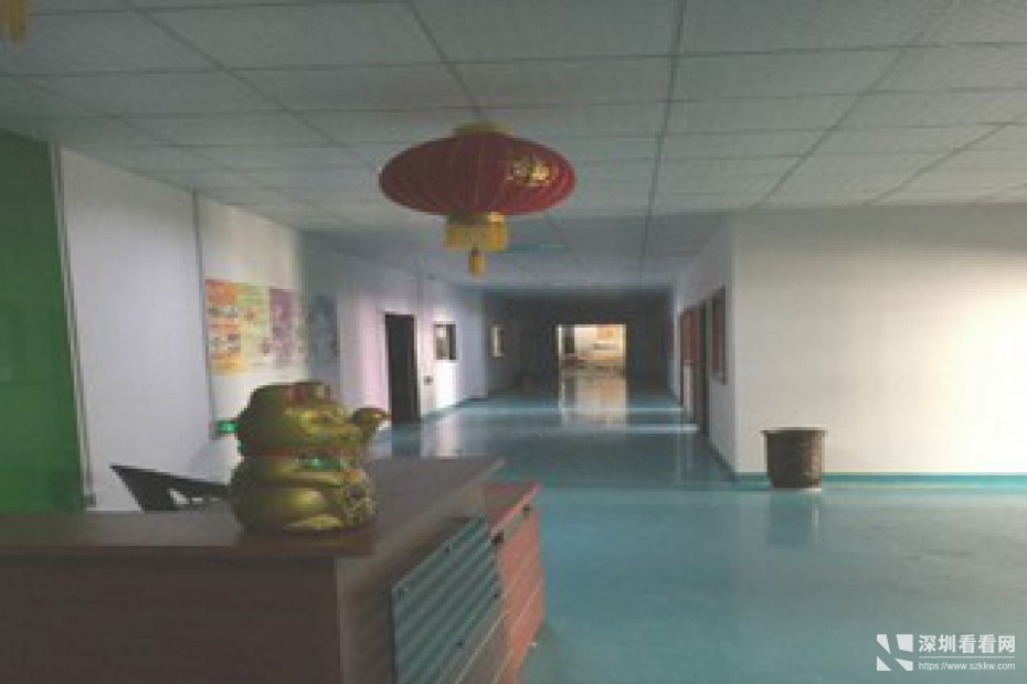 新百丽工业园500/800/2800平米出租