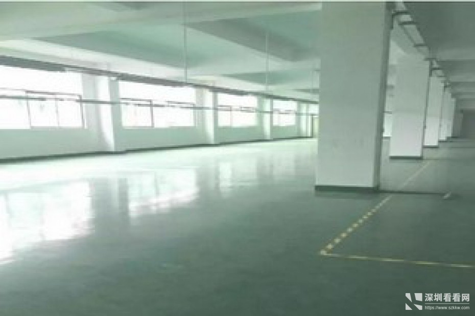 新百丽工业园500/800/2800平米出租