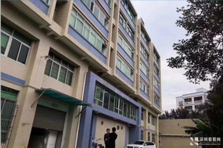 龙西社区原房东独院4000平米医疗厂房出租
