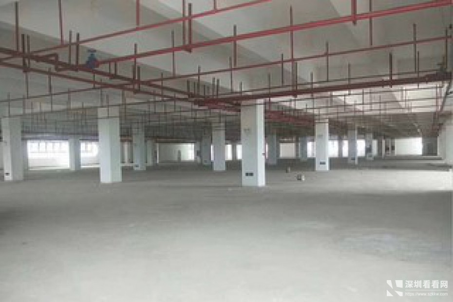 龙岗红本独院75000平米出租