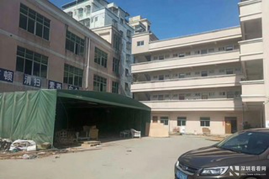 龙东独门独院厂房4800平米出租