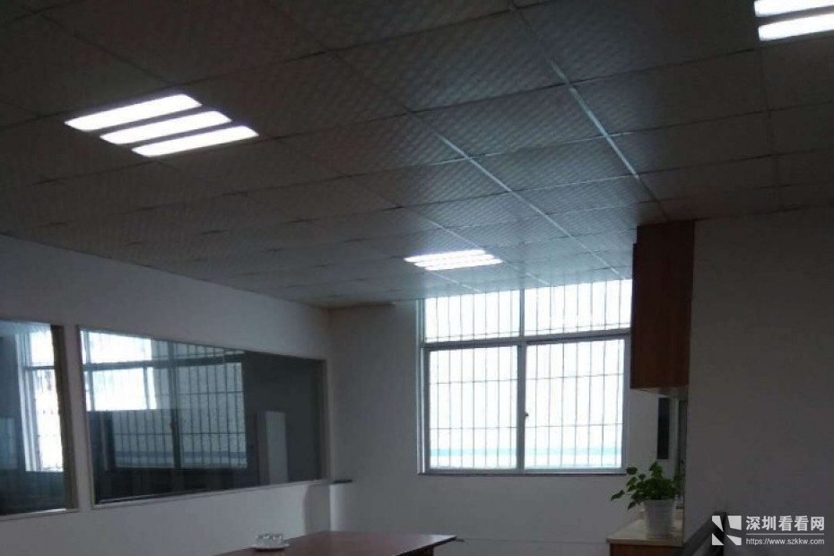 龙山工业区龙山商业街厂房标准办公室出租，有意者联系