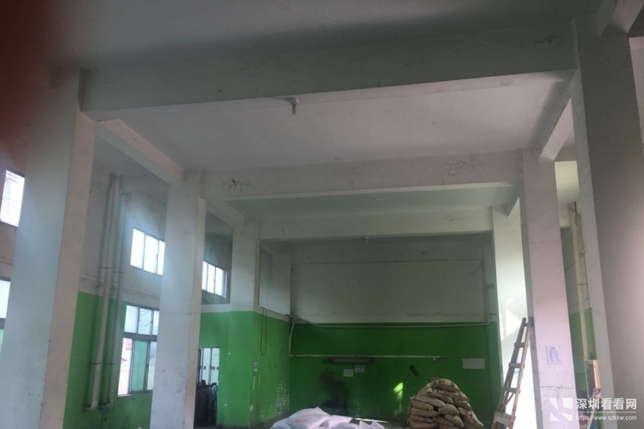 松岗塘下涌涂料化工厂房招租独栋厂房宽敞大气