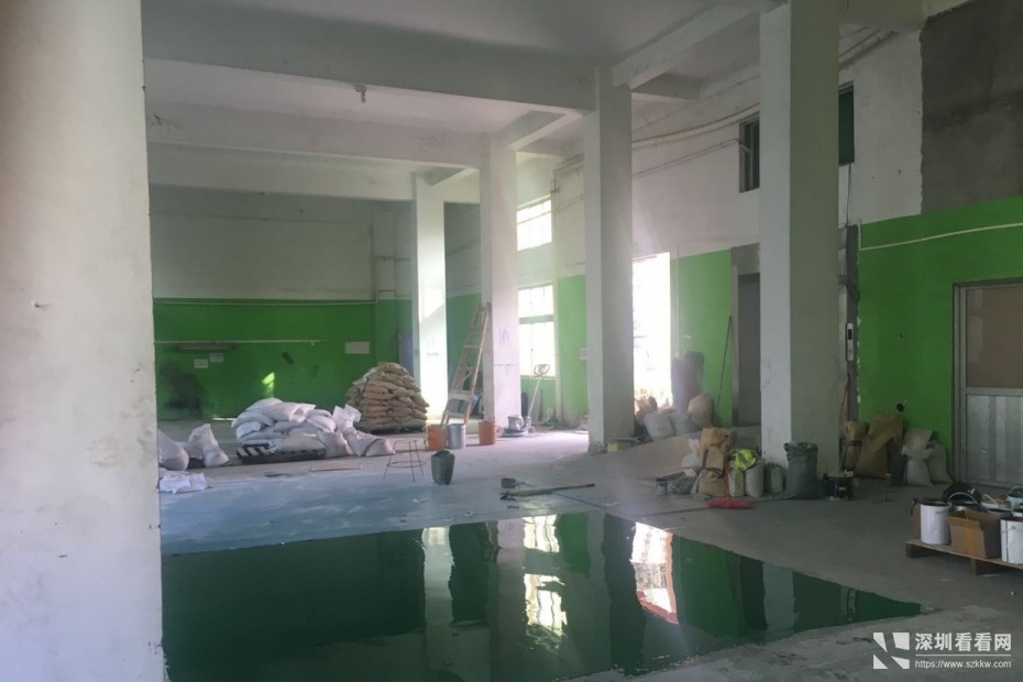 松岗塘下涌涂料化工厂房招租独栋厂房宽敞大气