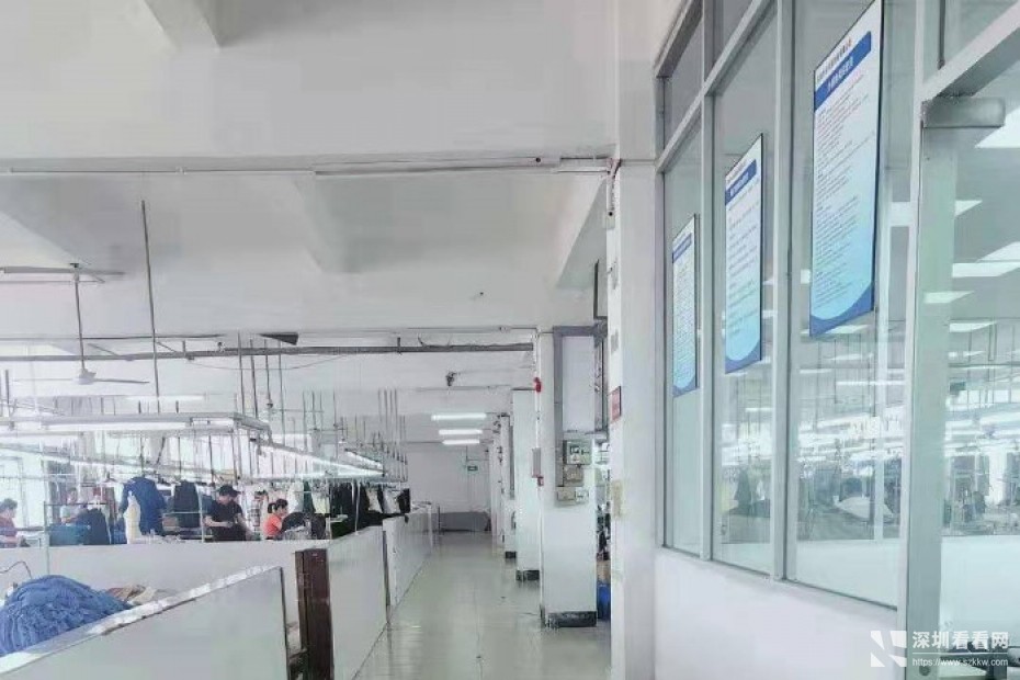 西乡服装厂分租600-900平方