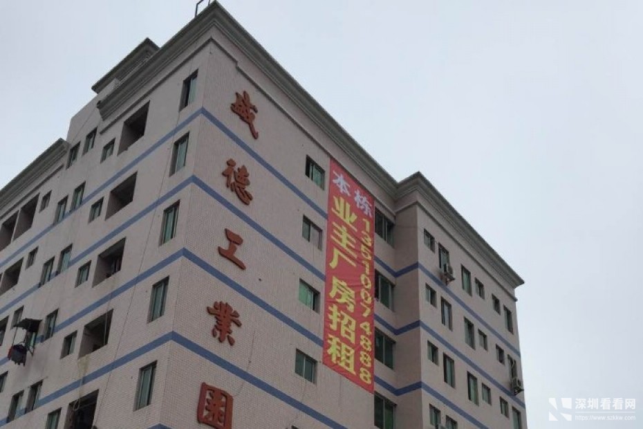 龙华大浪盛德工业园自置物业出租