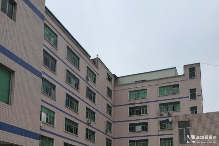 龙华大浪盛德工业园自置物业出租