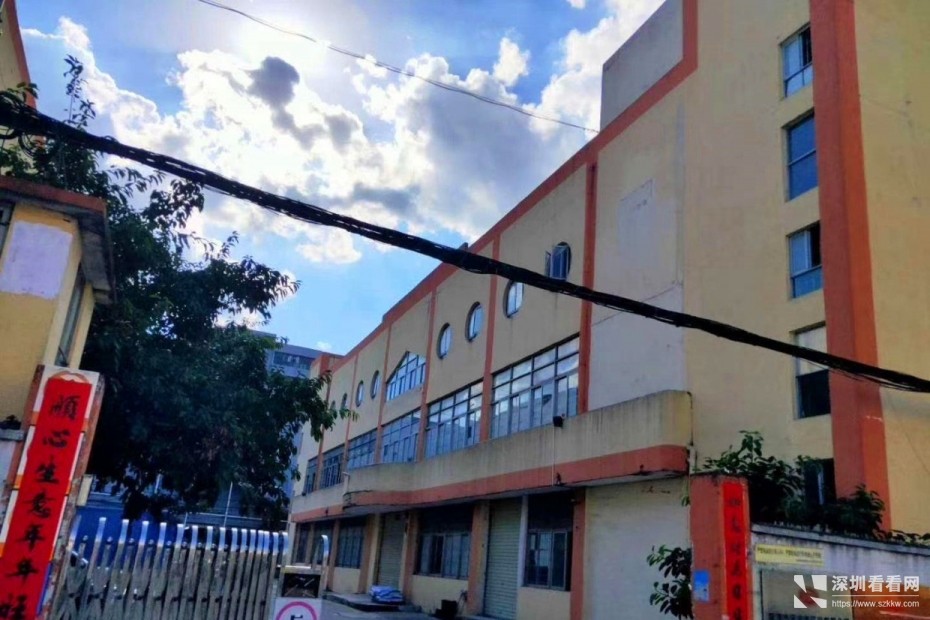 龙岗新出独门独院厂房3300平出租，大小可分