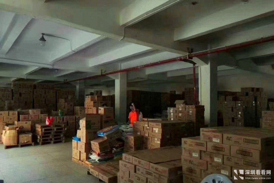 龙岗新出独门独院厂房3300平出租，大小可分