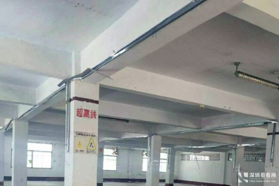 布吉丹竹头附近3000平原房东一楼厂房出租,可分租