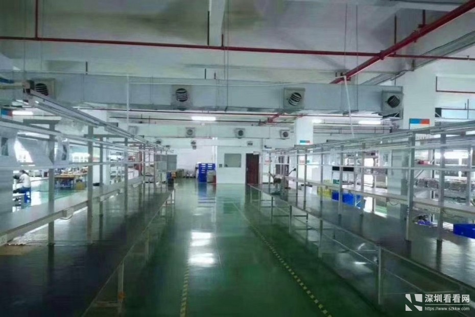 坂田杨美原房东厂房，2000平出租、交通便利零公摊