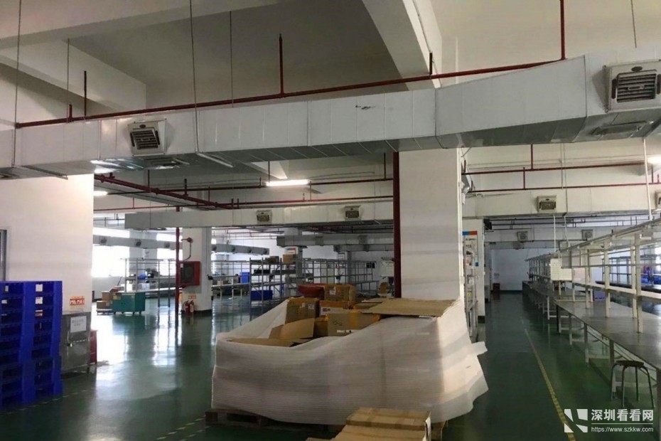 坂田杨美原房东厂房，2000平出租、交通便利零公摊