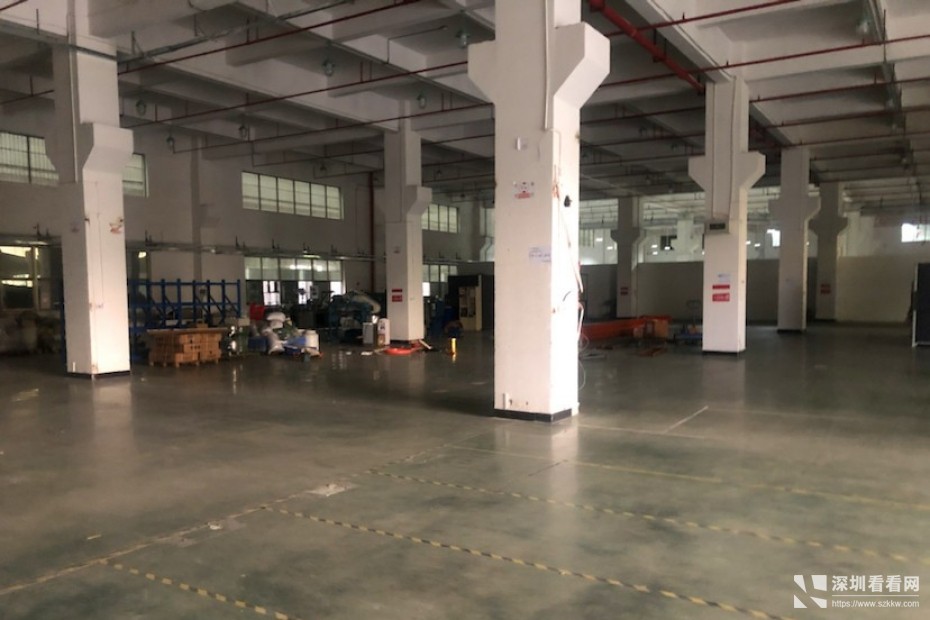 龙岗宝龙一楼2000平带牛角标准厂房