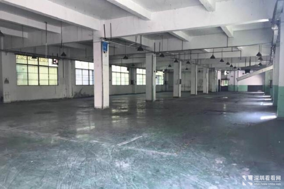 龙岗同乐原房东独栋带装修厂房5600平出租
