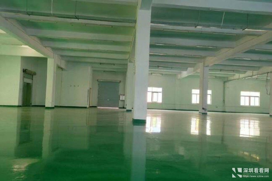 出售龙岗区8200平方米的精致红本小独院厂房