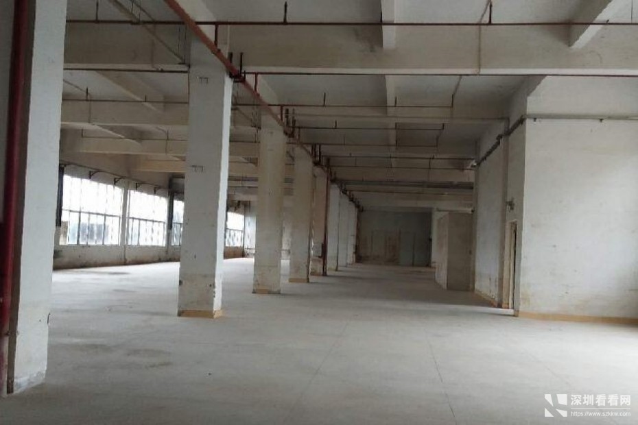 同乐同心路楼上2~4楼共6000平，大小分租，两部货梯