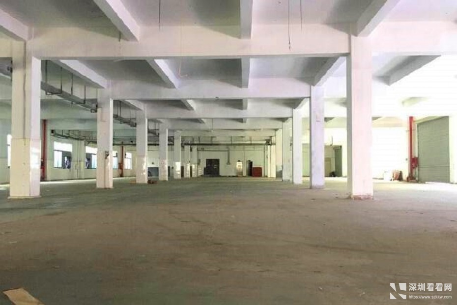 龙岗新生原房东独院厂房3300平报价20元水电到位