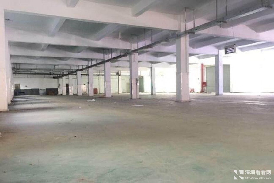 龙岗新生原房东独院厂房3300平报价20元水电到位