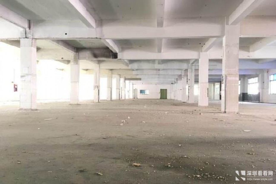 龙岗新生原房东独院厂房3300平报价20元水电到位