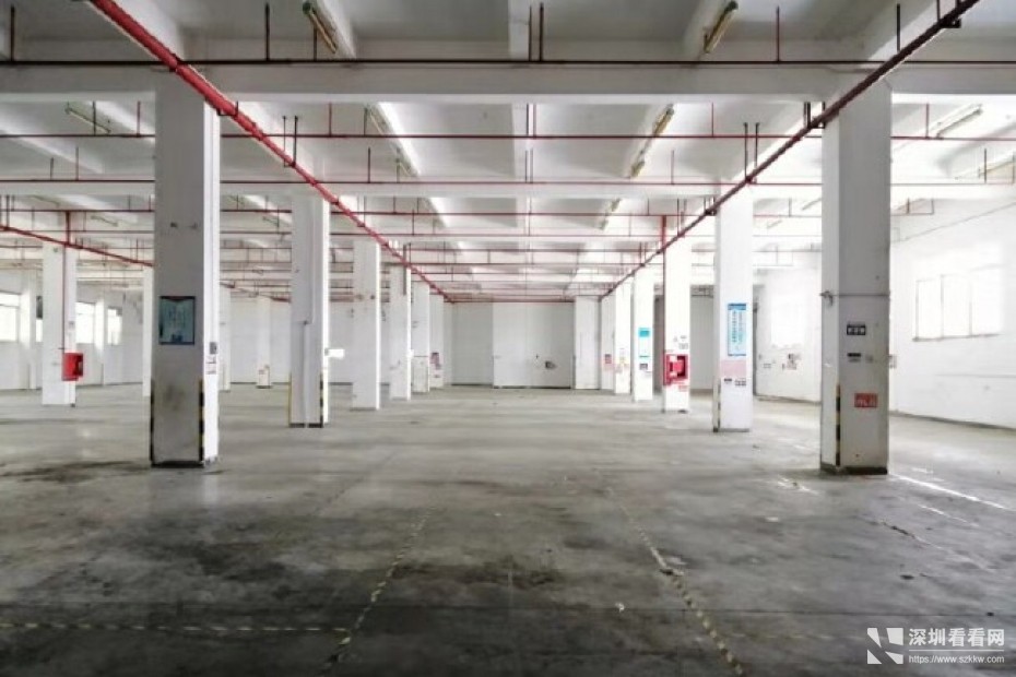 坪西新出原房东一楼厂房2800平出租层高6米可分租