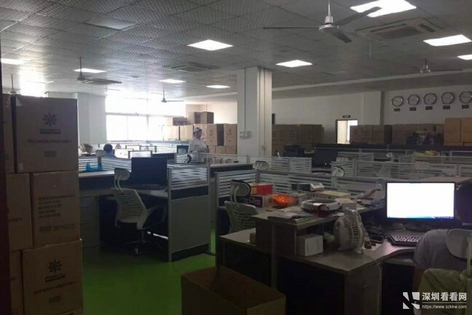 坂田杨美地铁口全新改造科技园园电商办公厂房500平米招租