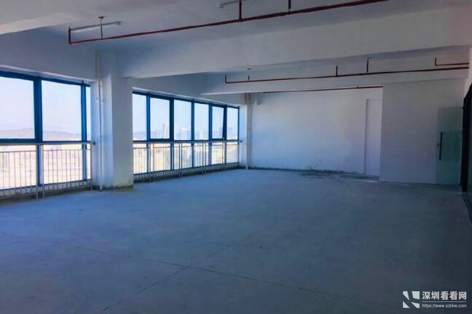 龙岗宝龙工业园新出标准厂房500平方出租带装修带红本