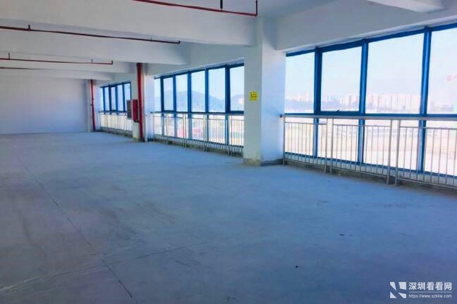 龙岗宝龙工业园新出标准厂房500平方出租带装修带红本