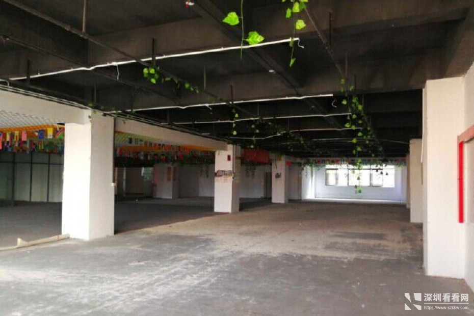 龙岗坪地二楼1000平原房东独院红本厂房出租