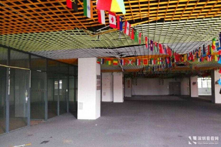 龙岗坪地二楼1000平原房东独院红本厂房出租