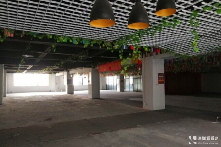 龙岗坪地二楼1000平原房东独院红本厂房出租