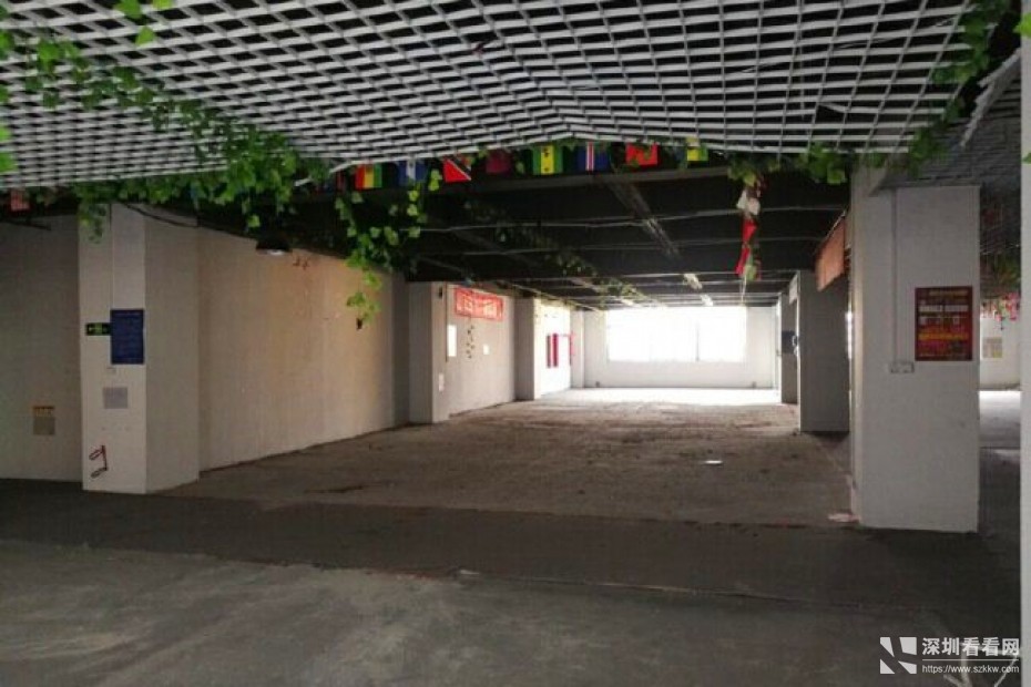 龙岗坪地二楼1000平原房东独院红本厂房出租