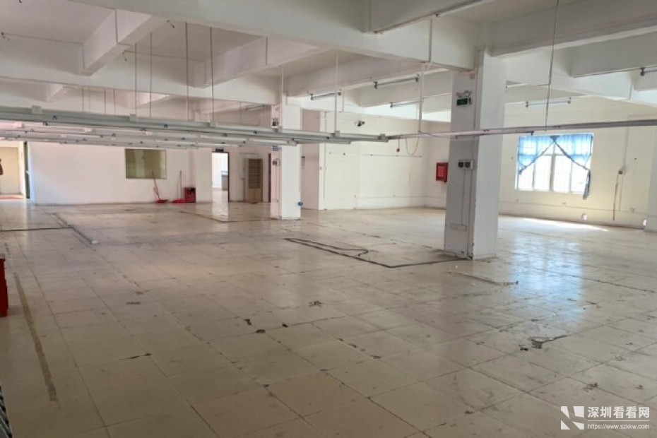 横岗安良万骏隆广场边新出现成服装厂房486平方米招租空地大