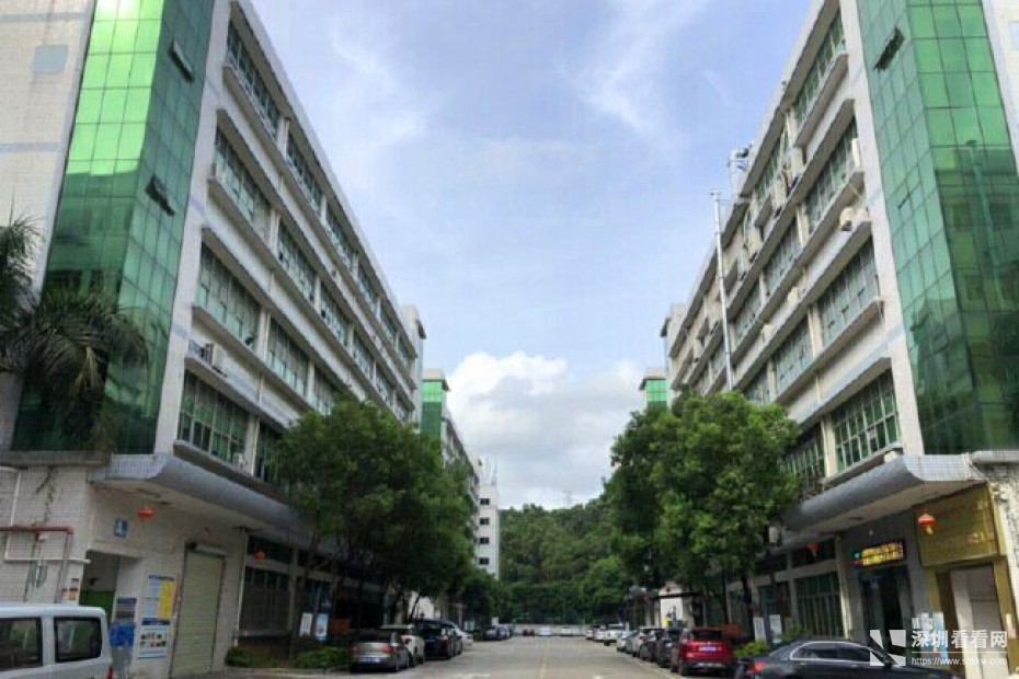 坪山六联新出原房东二楼1200平带豪华装修办公室厂房出租