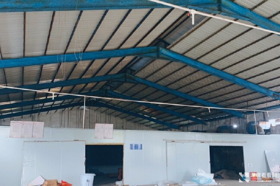 龙岗坪地一楼1000平高8米原房东独院红本厂房出租