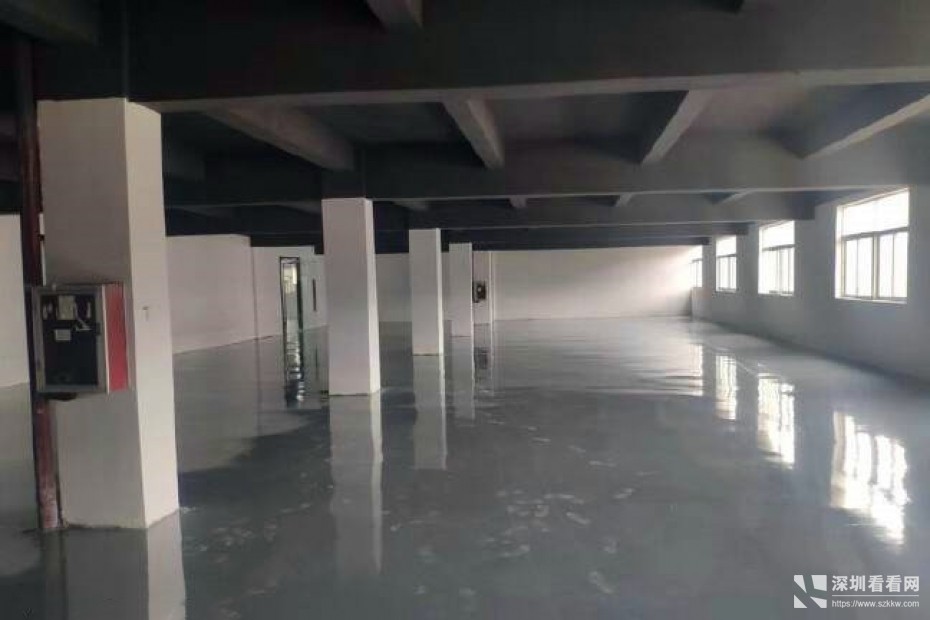 横岗六和路红本独院厂房各种面积大小分租整租