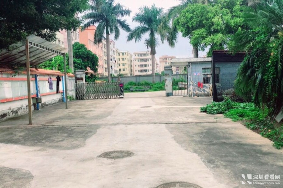 龙岗周边8米钢构3000平带五吨行车出租！