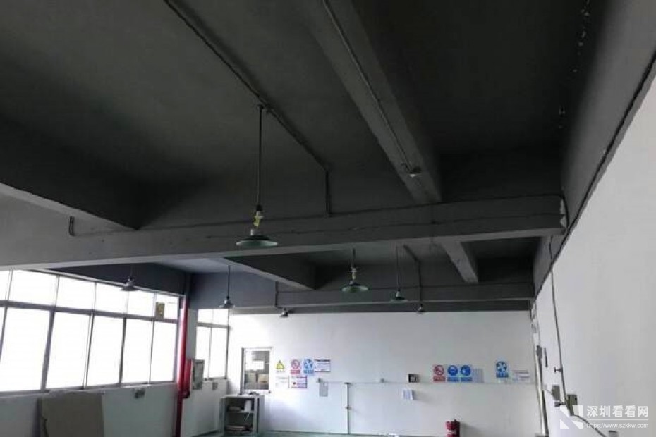 龙岗南联1000平办公加厂房招租