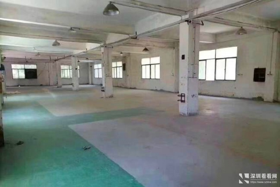 龙岗同乐独栋厂房价格便宜