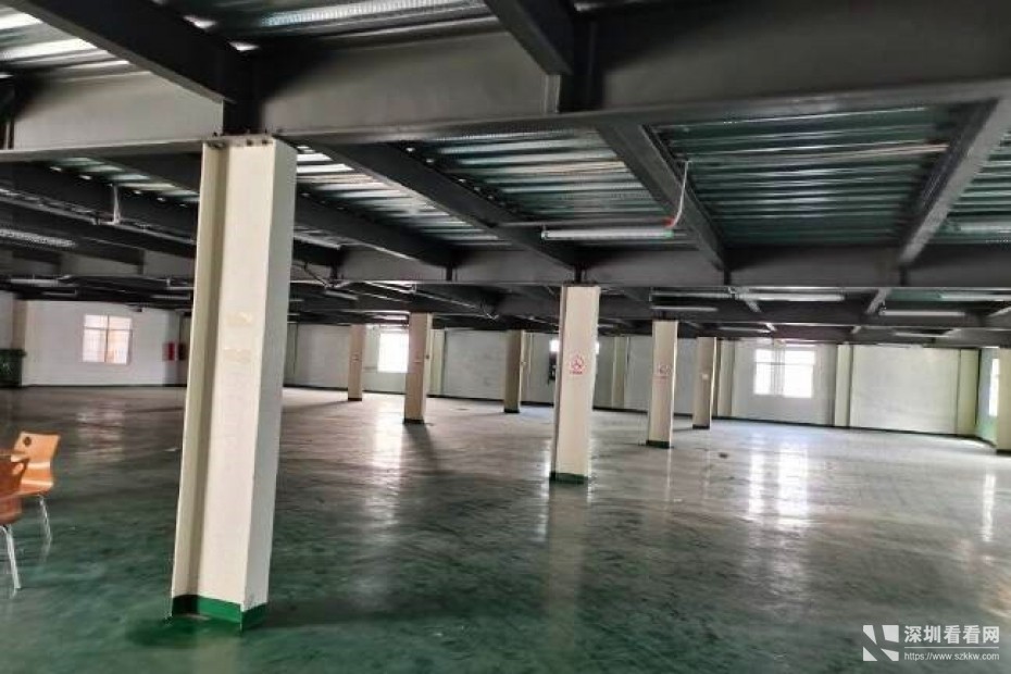 龙岗精装修厂房，价格美丽