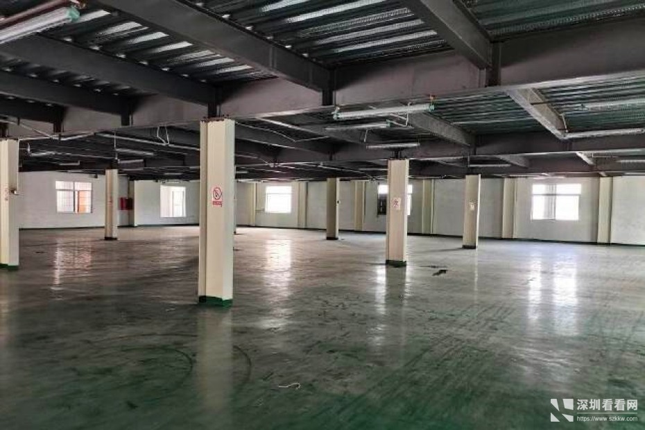 龙岗精装修厂房，价格美丽