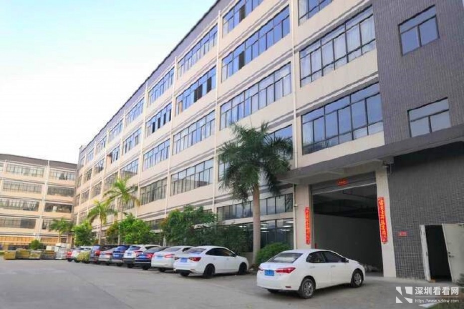 观澜新出大型园区楼上1250平带豪华精装