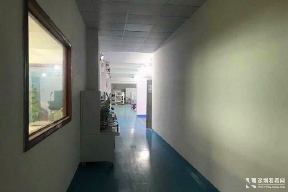 观澜新出大型园区楼上1250平带豪华精装