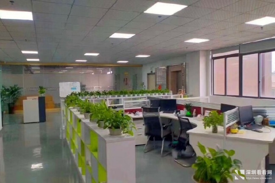 坪山高薪产业园3000平方出租三楼大小分租