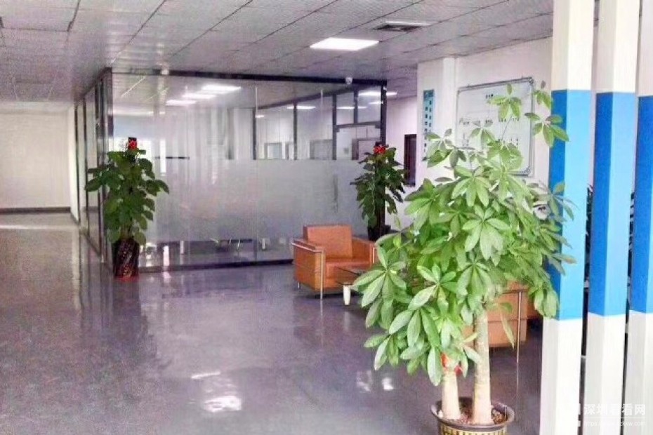 坪山高薪产业园3000平方出租三楼大小分租