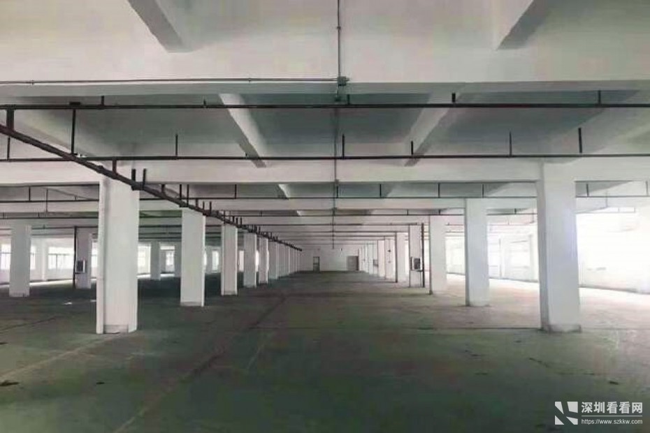 坂田个人红本厂房出租，可分租