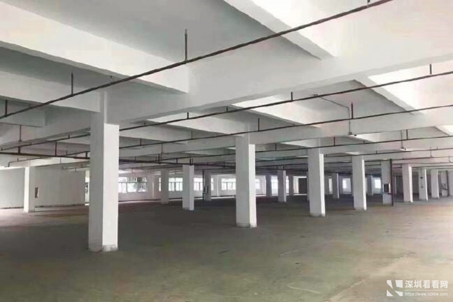 坂田个人红本厂房出租，可分租